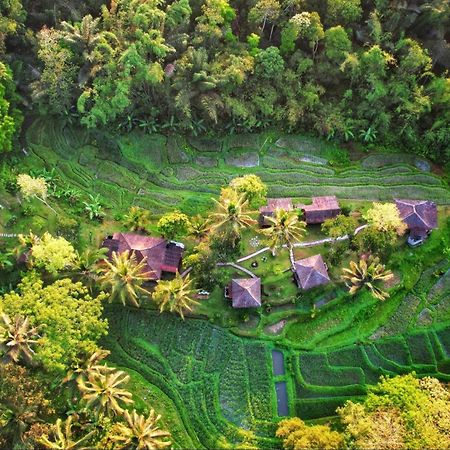 Oemah Tepi Sawah Vila Jatiluwih Exterior foto