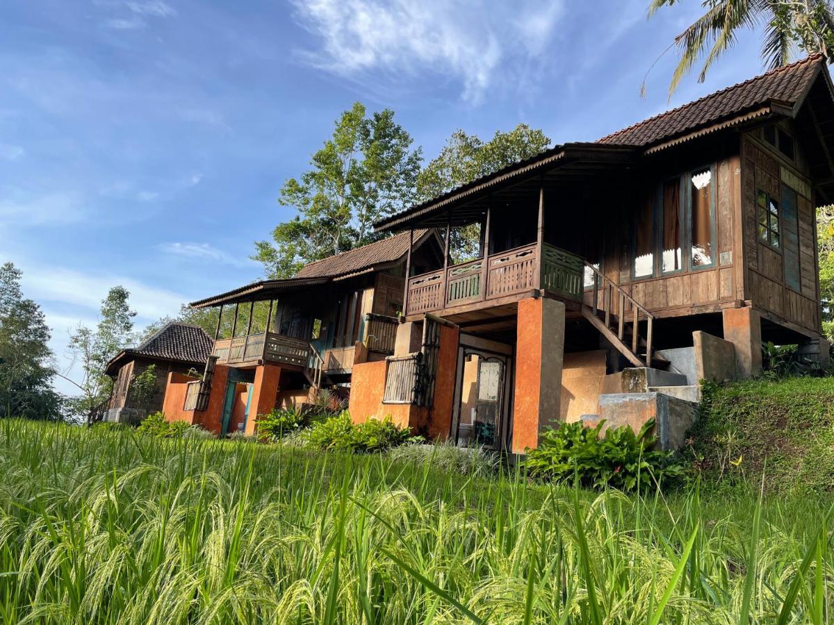Oemah Tepi Sawah Vila Jatiluwih Exterior foto