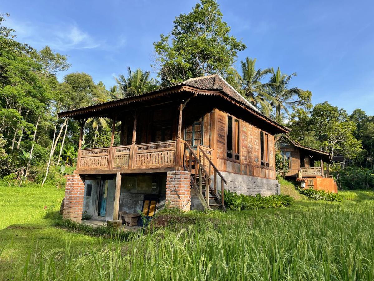 Oemah Tepi Sawah Vila Jatiluwih Exterior foto