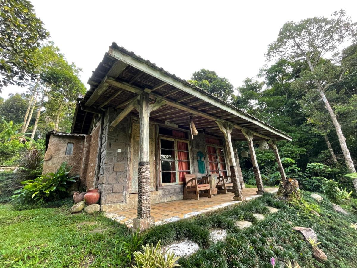 Oemah Tepi Sawah Vila Jatiluwih Exterior foto