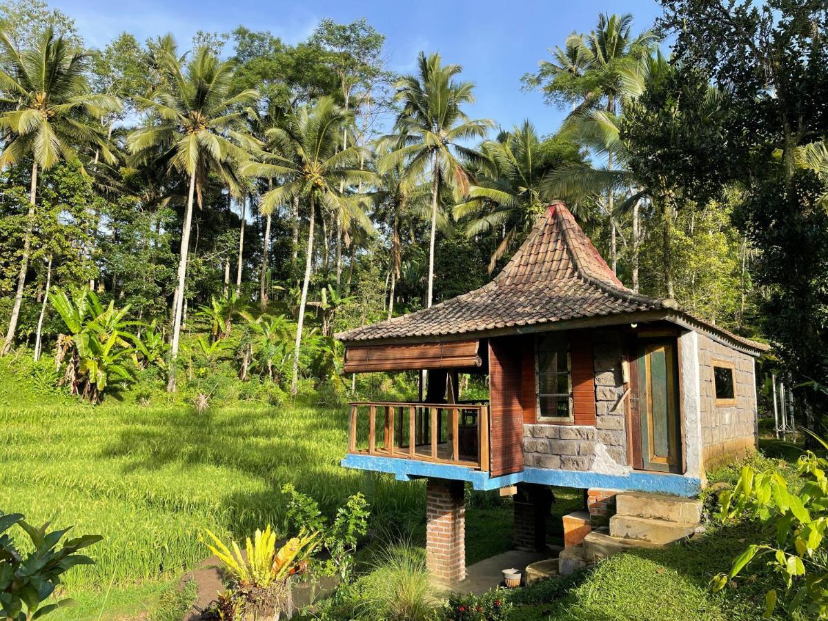 Oemah Tepi Sawah Vila Jatiluwih Exterior foto