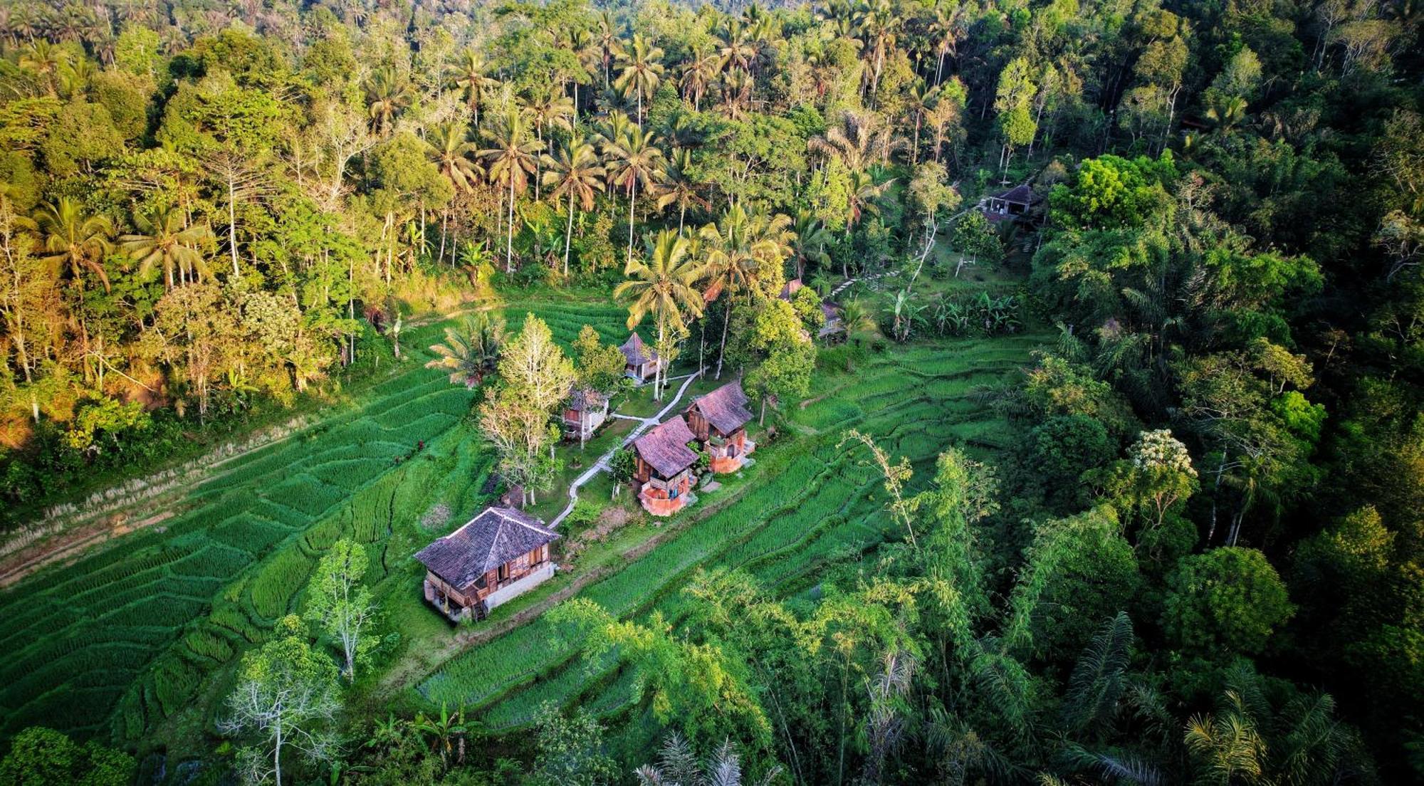 Oemah Tepi Sawah Vila Jatiluwih Exterior foto