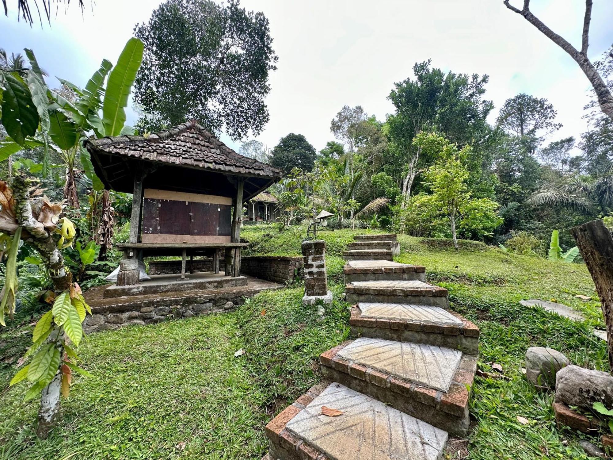 Oemah Tepi Sawah Vila Jatiluwih Exterior foto