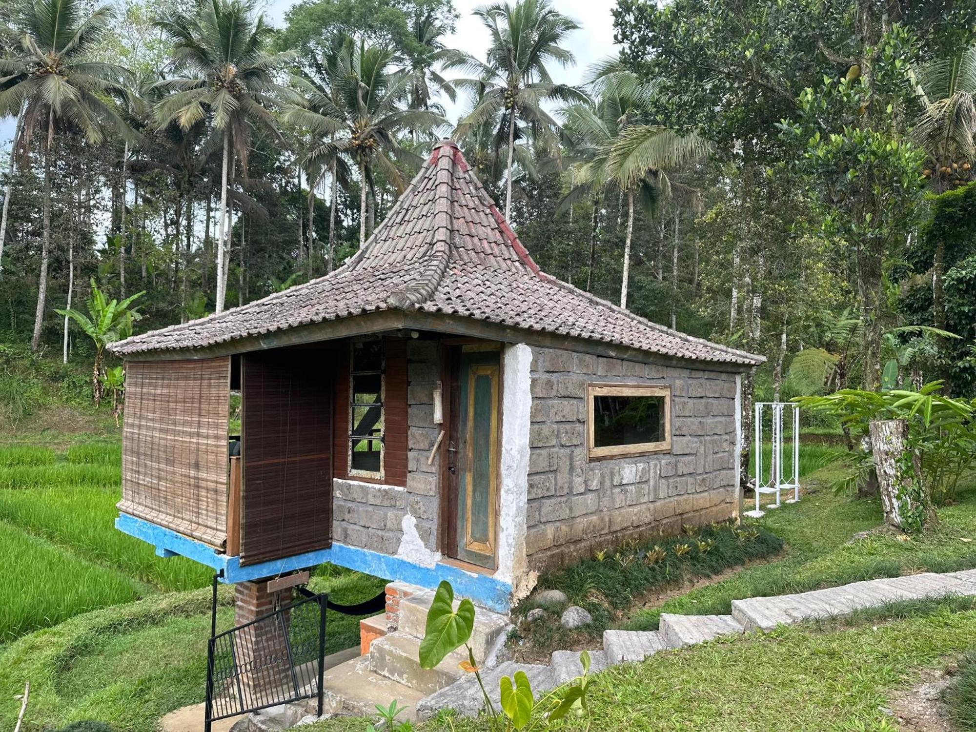 Oemah Tepi Sawah Vila Jatiluwih Exterior foto