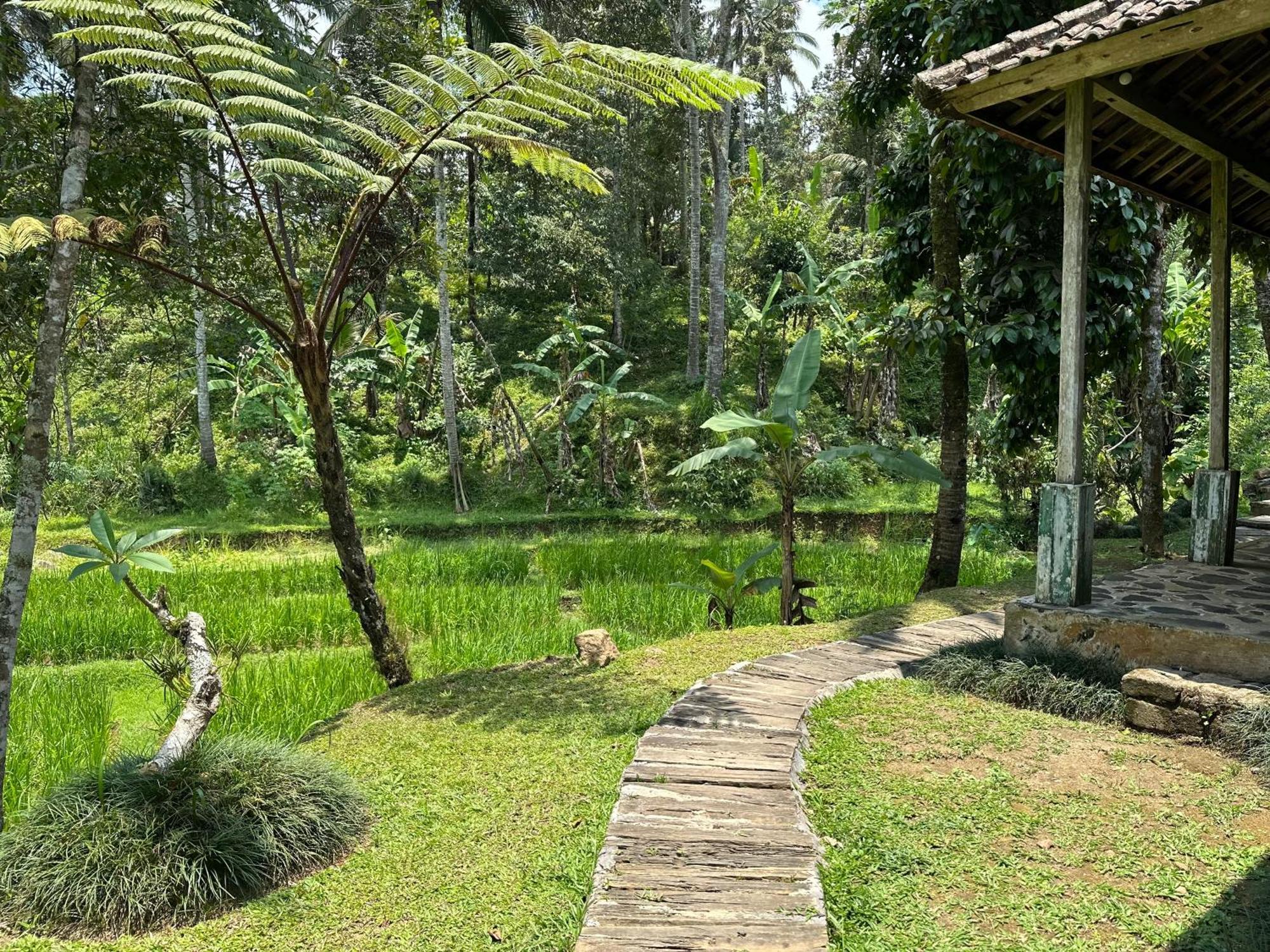 Oemah Tepi Sawah Vila Jatiluwih Exterior foto