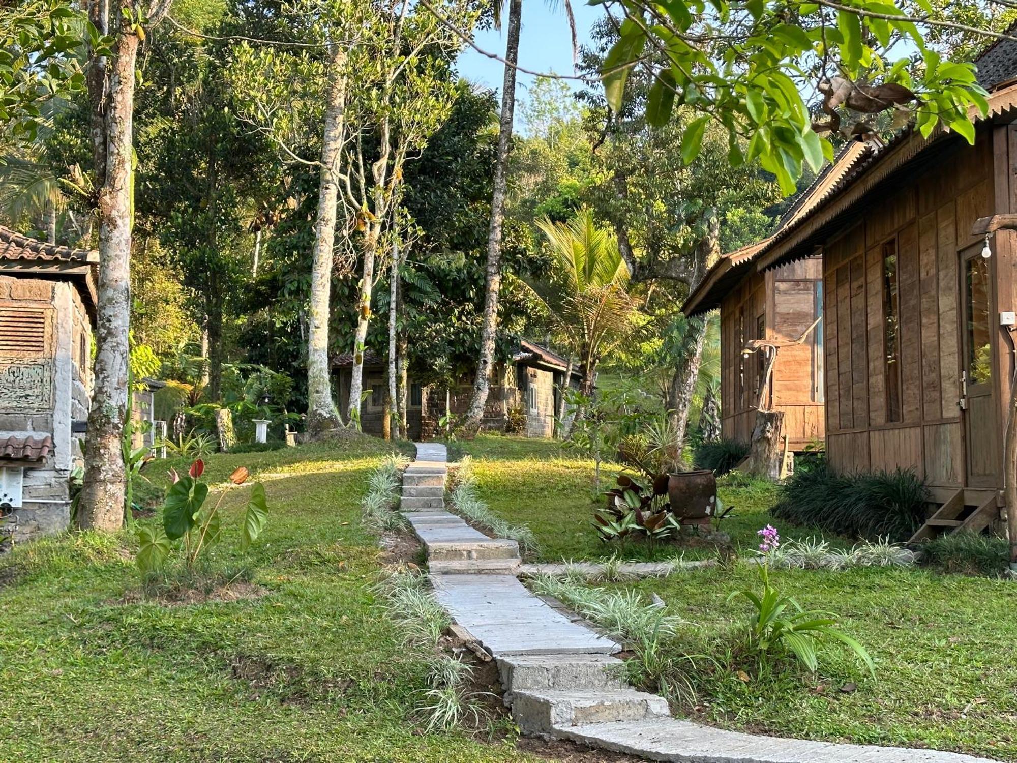 Oemah Tepi Sawah Vila Jatiluwih Exterior foto