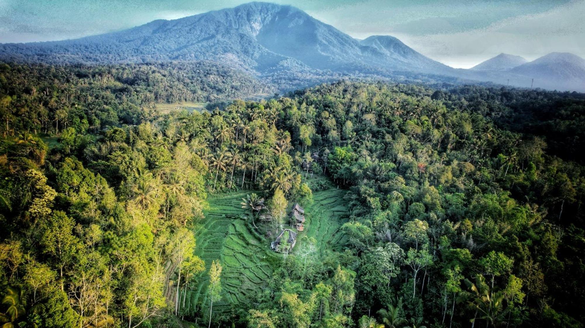 Oemah Tepi Sawah Vila Jatiluwih Exterior foto