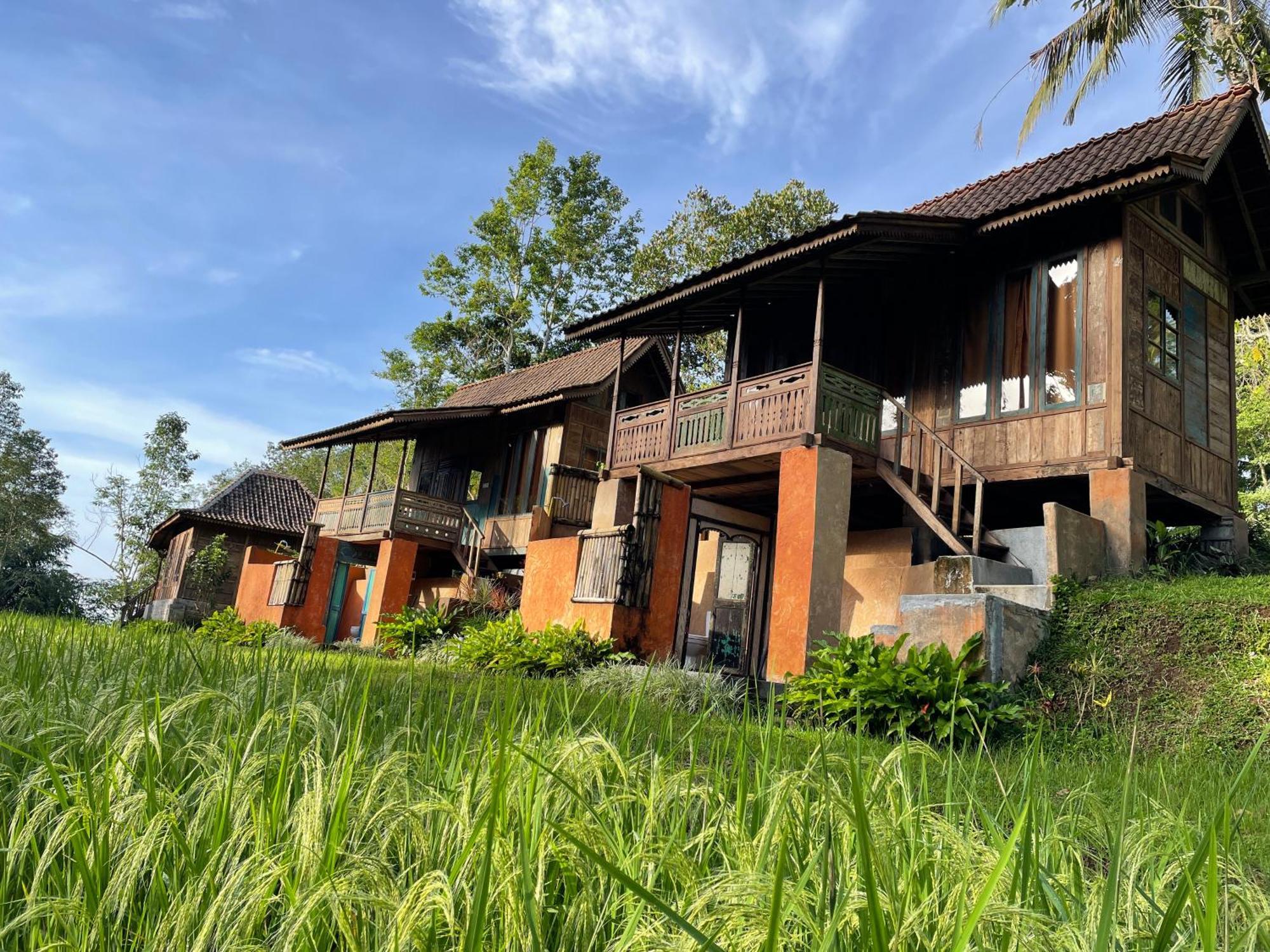 Oemah Tepi Sawah Vila Jatiluwih Exterior foto
